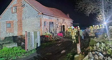 Ściana i dach budynku runęły prosto na zwierzęta. Nie wszystkie przeżyły-85674