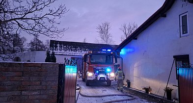 Pożar stodoły postawił na nogi strażaków. Gospodarze zdążyli wyprowadzić...-86713