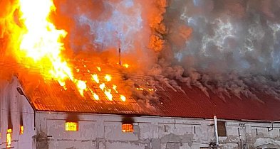 To był wyścig z czasem! Potężny ogień zagrażał sąsiednim budynkom...