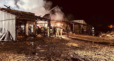 Zwierzęta były uwięzione, nie wszystkie przeżyły. Smutny bilans pożaru