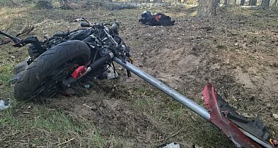 Wjechał motocyklem w stado przebiegających saren. Trafił do szpitala.