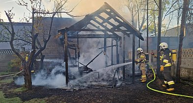 Z szopy zostały tylko zgliszcza. Strażacy bronili też pobliskiego domu