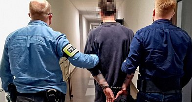Nagrali, jak robi to z kotem. 39 letni mieszkaniec Kalisza usłyszał zarzuty