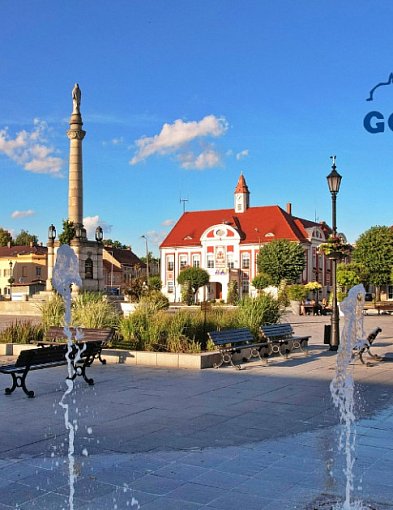 Burmistrz Gostynia ogłasza I przetarg ustny nieograniczony -82484