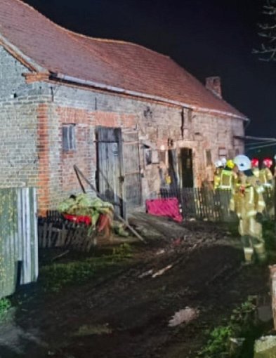 Ściana i dach budynku runęły prosto na zwierzęta. Nie wszystkie przeżyły-85674