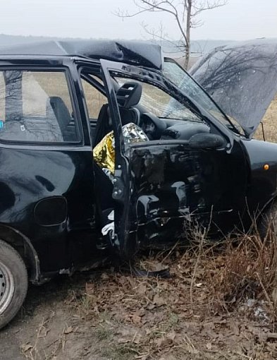 Seicento wypadło z drogi i uderzyło w drzewo. Poszkodowana ...