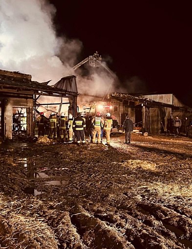 Zwierzęta były uwięzione, nie wszystkie przeżyły. Smutny bilans pożaru