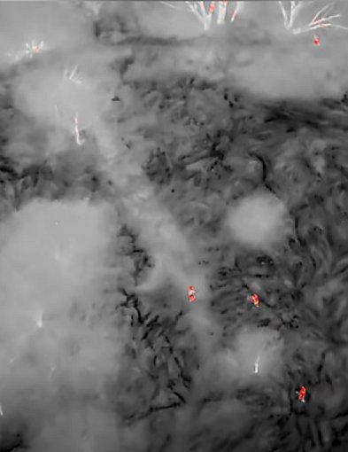 Utknęła po pas w bagnie. Każdy ruch pogarszał jej sytuację. Wtedy...