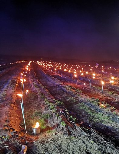 Strażacy pędzili do pożaru pola. Na miejscu czekało ich nietypowe wyjaśnienie