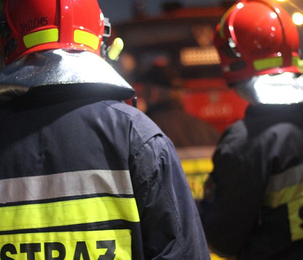 Ognia brak, a alarm wył. Strażacy mają pewną hipotezę po interwencji w hotelu-82747