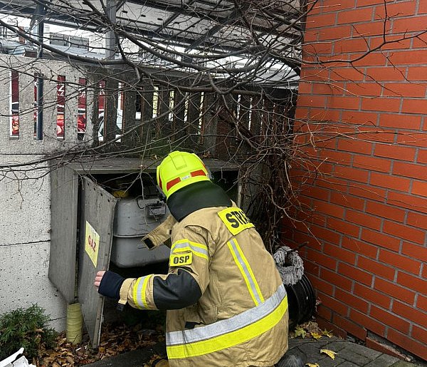 Alarm w centrum Pępowa! Straż pożarna wskazuje że to mógł być zakład mięsny-83960
