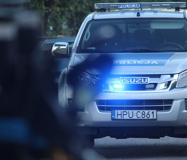 Nagle wyskoczyła na jezdnię. Próbował ratować sytuację i skończył w... rowie-84536