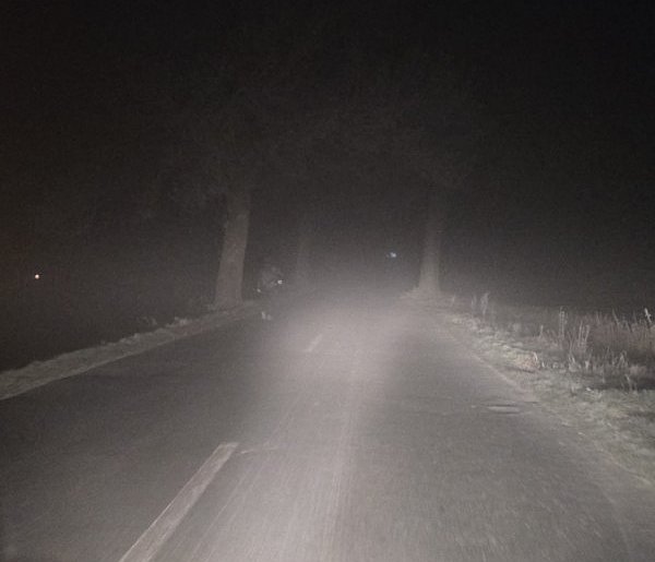 Nagle zobaczył go we mgle. Powiedział, że "uciekł" ze szpitala w Kościanie...-84993