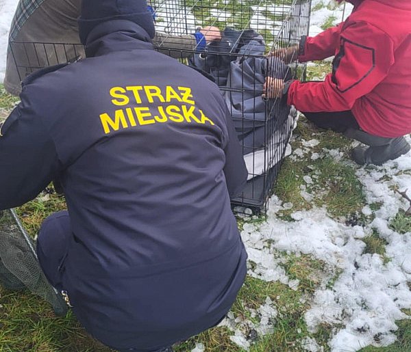 Zobaczyli go pod domem i wiedzieli, że jest źle. Dzięki nim dostał drugą szansę-85257