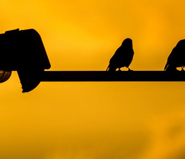 Przez ponad tydzień widzieli tylko ciemność. Takich miejsc było więcej-85422