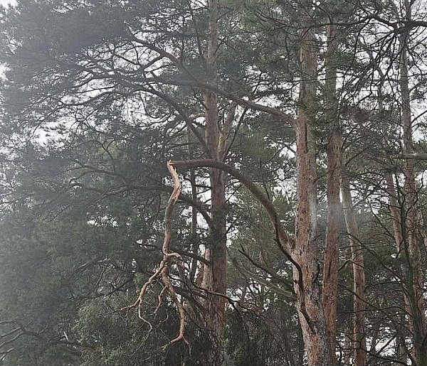 Twierdzi, że jazda a drogą to jak "oszukać przeznaczenie" Nie wierzy, że nikt...-85725