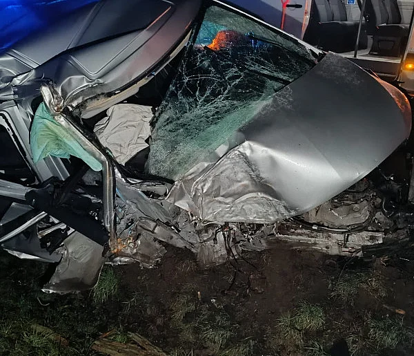 Chwila nieuwagi, łuk drogi i nagłe "coś" w ciemności. Kierowca wjechał prosto w...-86013