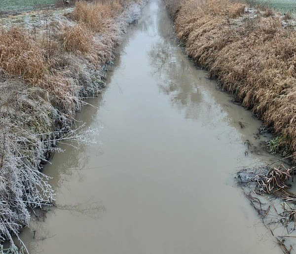 Niepokojący widok w święta. Kaczki zniknęły, a woda w Kani zmieniła kolor...-86146