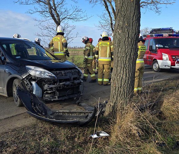 Auto wbiło się w drzewo. Kierowca jechał sam. Możliwe, że nagłe zasłabł ...-86323