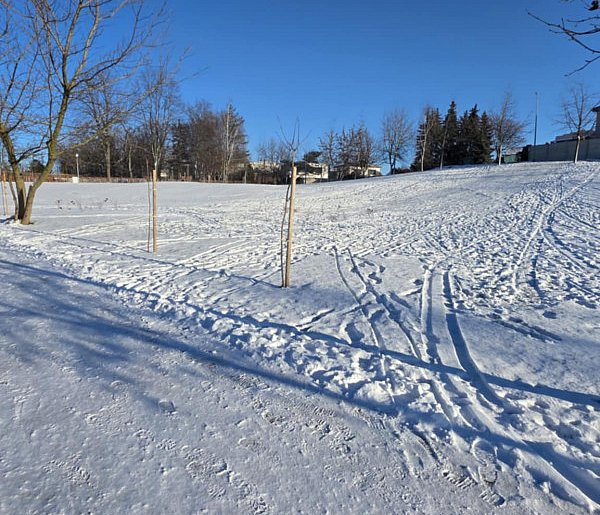Wizytówka Gostynia rozjechana! Jeszcze niedawno wszyscy radni się szczycili-86425