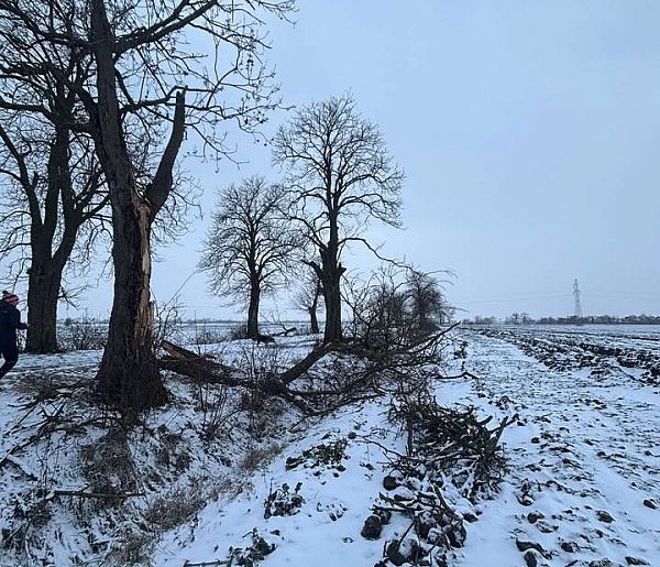 To co zobaczyła przy drodze, bardzo ją zaniepokoiło. Nie wierzy w przypadek-86422