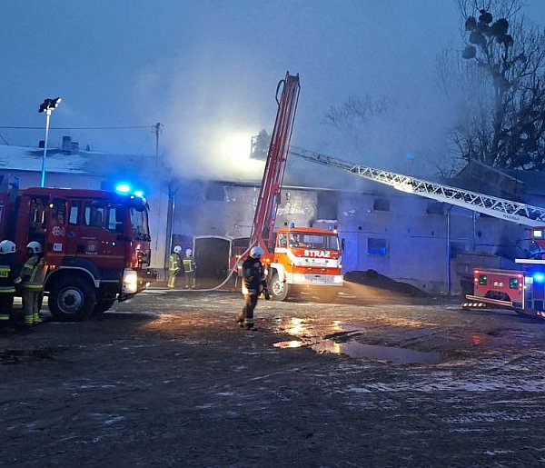 Płonął budynek inwentarski! W środku 70 sztuk bydła. Sytuacja była poważna