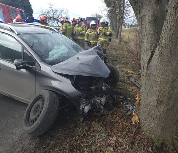 Auto roztrzaskało się o drzewo. Kierowca w szpitalu. Mówi, że nie pamięta nic