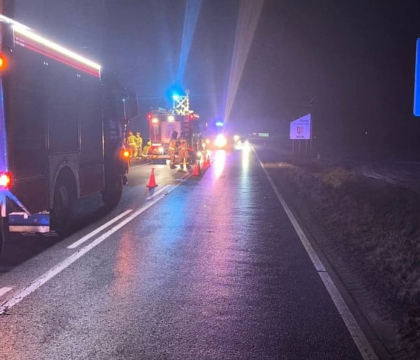 Sarna na drodze, samochód w polu...    20-latek nie zdołał opanować auta