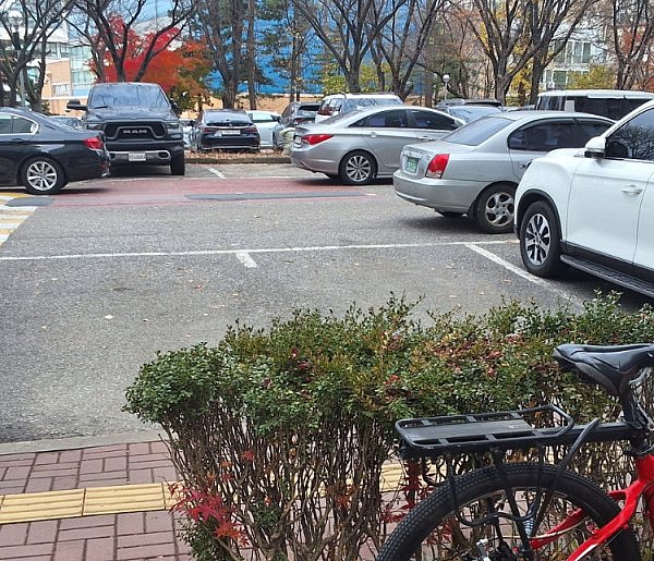 Za każdym razem, chcąc wyrzucić śmieci, musi skakać jak małpa. To nie jedyne...