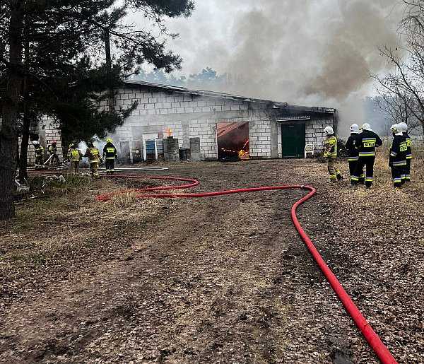 Duża akcja gaśnicza pod Dolskiem. Pomagali strażacy z powiatu gostyńskiego