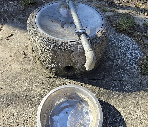 Problem w gostyńskim dog parku. Czytelnik alarmuje, dyrektor odpowiada