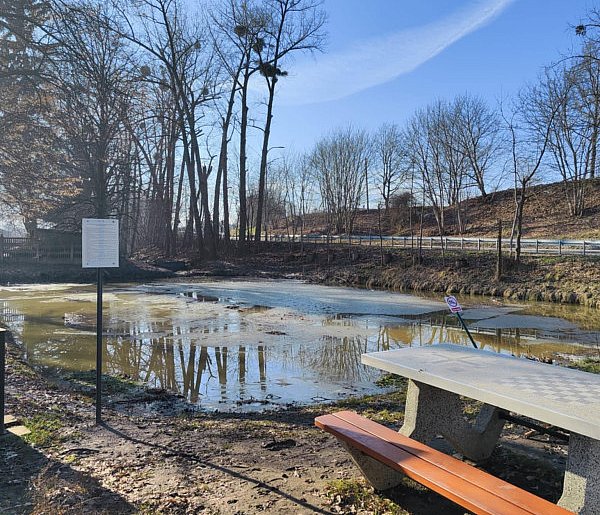 Mieszkańcy dosłownie przecierali oczy ze zdumienia. Tego się nie spodziewali