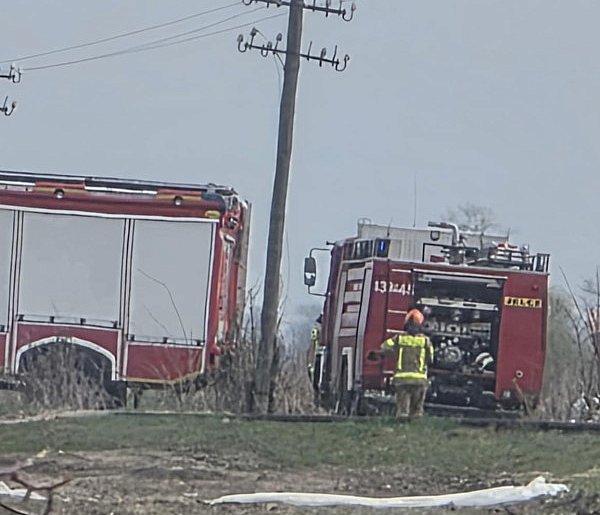 Ogień tuż za budynkiem gospodarczym. Do akcji ruszyło pięć zastępów straży