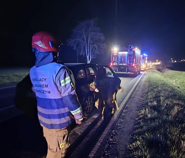 Hamowała przed zwierzyną, wiozła dzieci. W tył jej auta uderzyła pijana 27-latka