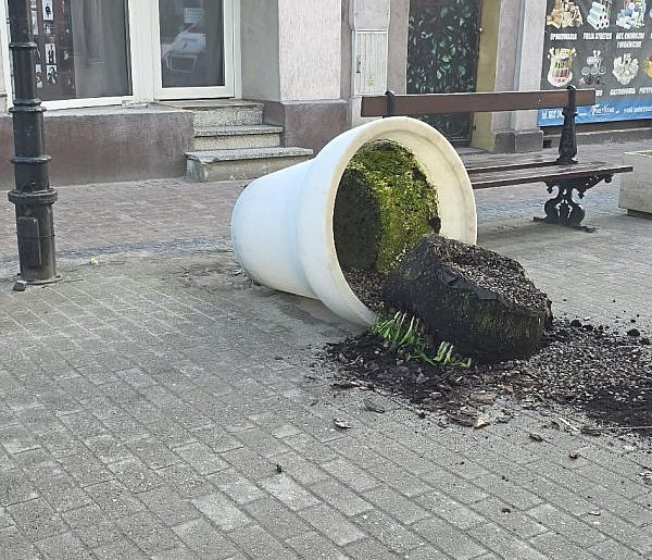 Ziemia wysypana, rośliny zniszczone. Czytelnik: "Kogoś poniosła fantazja"