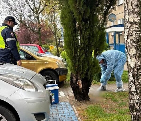 Zgłoszenie z osiedla Wojska Polskiego postawiło służby na nogi! Chodziło o...