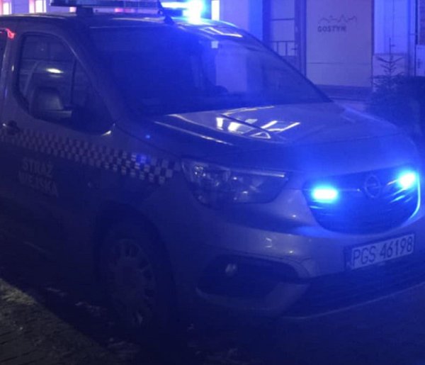 Właścicielka ukarana po wieczornej kontroli. Strażnicy zapowiadają powrót