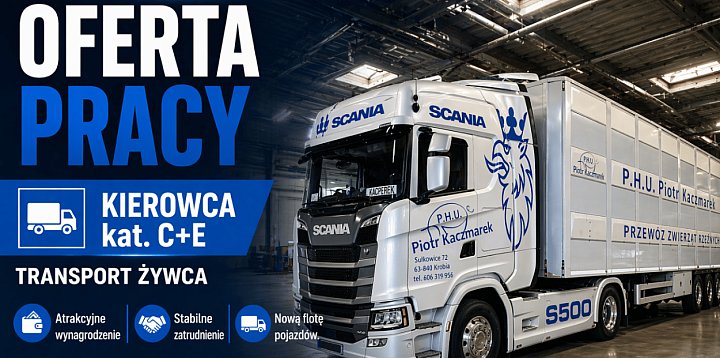 Kierowca C+E - transport żywca. Atrakcyjne wynagrodzeni