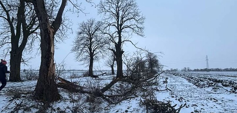 To co zobaczyła przy drodze, bardzo ją zaniepokoiło. Nie wierzy w przypadek