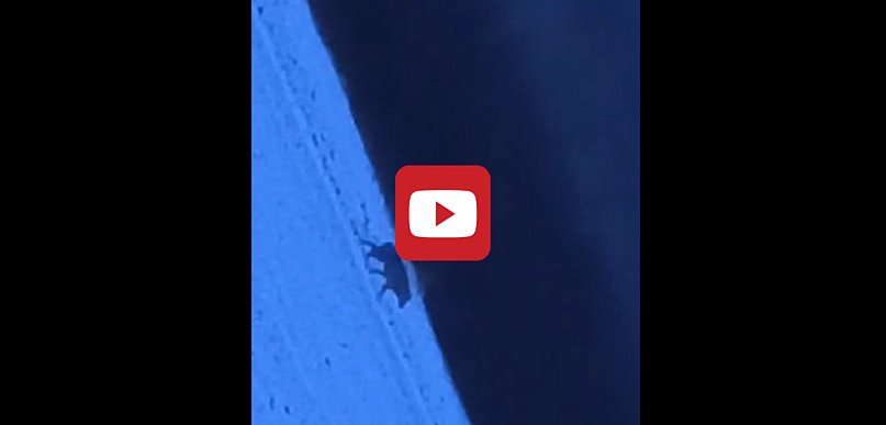 Taki widok potrafi obudzić bardziej niż poranna kawa. Mamy nagranie...