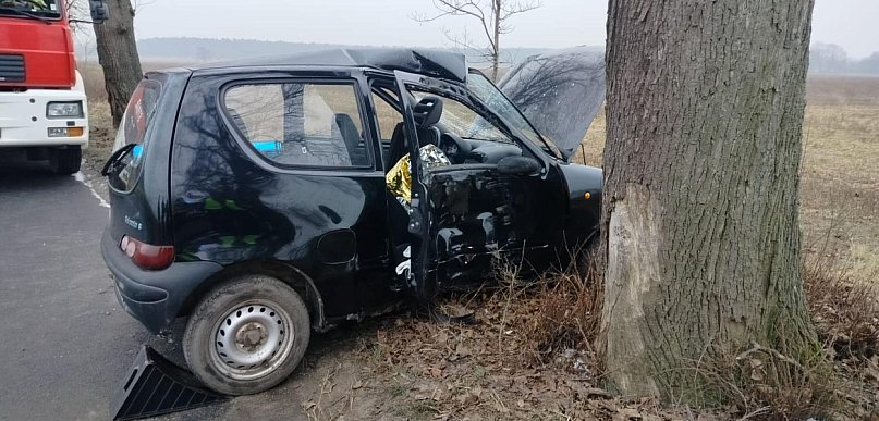 Seicento wypadło z drogi i uderzyło w drzewo. Poszkodowana ...