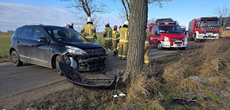 Uderzył w drzewo, był nieprzytomny... Dopiero teraz wyniki badań ujawniły prawdę