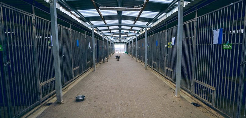 Aż trzy kontrole w zaledwie tydzień. Schronisko stawia sprawę jasno...