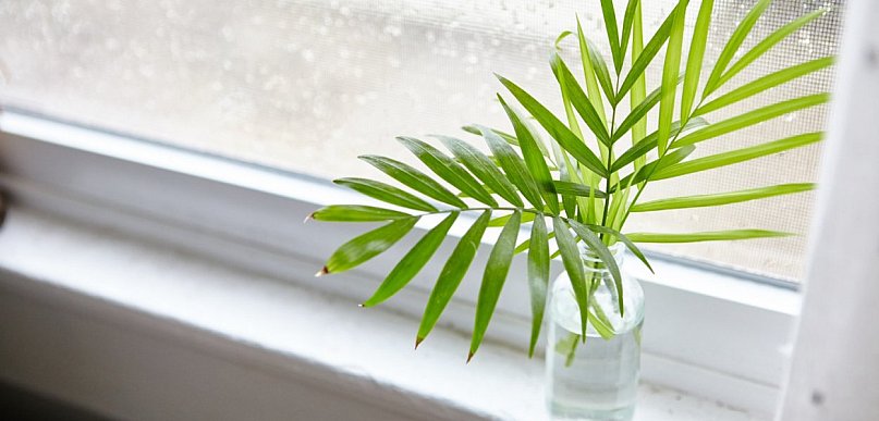 Wilgotność powietrza w domu – jaki poziom jest zdrowy i dlaczego ma znaczenie?