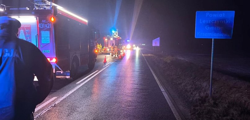 Sarna na drodze, samochód w polu...    20-latek nie zdołał opanować auta