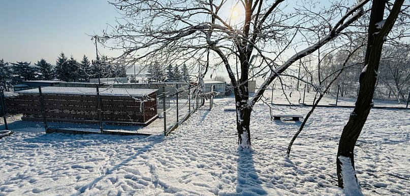 Widzieli, jak zwierzęta trzęsą się z zimna w kojcach. To przelało czarę goryczy...