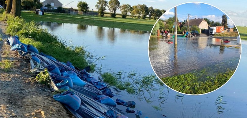 W sierpniu 2024 roku, Daria Wyzuj miała złożyć im obietnicę. Teraz chcą informacji