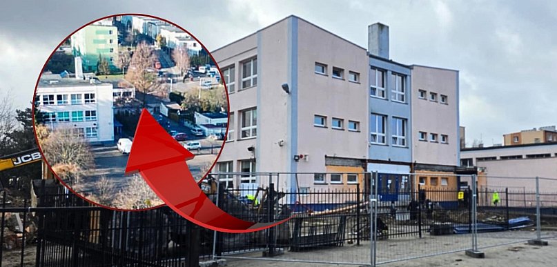 Przez lata urosła do rangi symbolu szkoły. Dlaczego metasekwoja zniknęła?