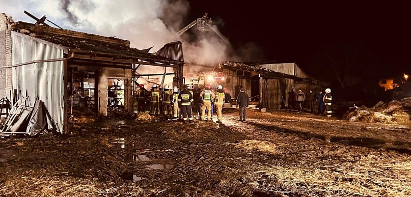 Zwierzęta były uwięzione, nie wszystkie przeżyły. Smutny bilans pożaru