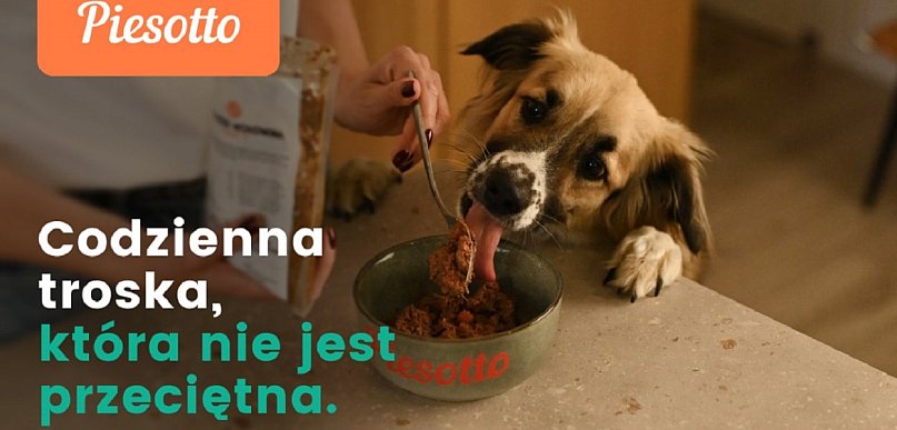 Zbilansowana dieta psa w praktyce – analiza modelu żywieniowego Piesotto